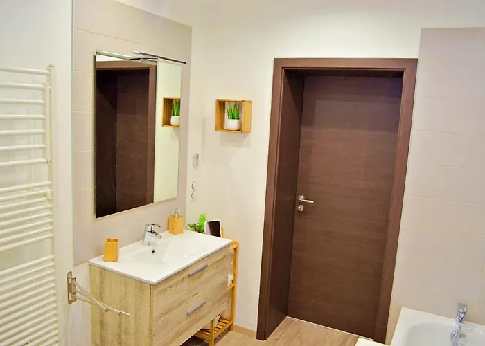 Apartment Le Temps D'un Reve, Prestige, Detente Au Centre Ville. Molsheim