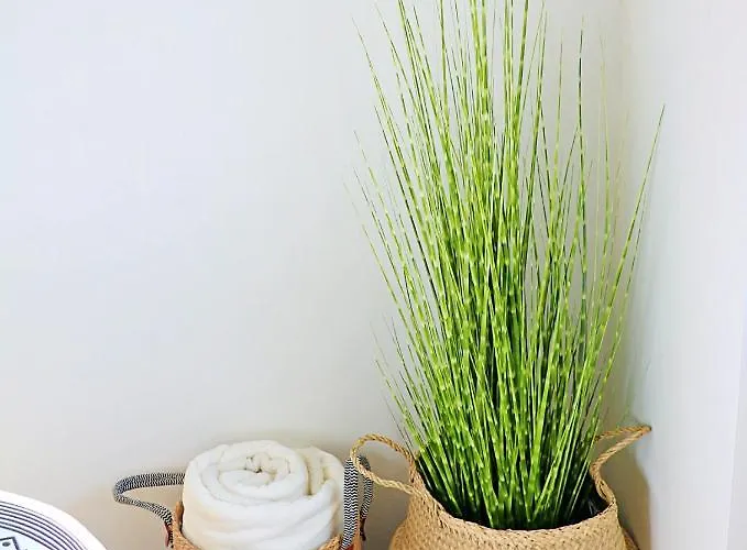 Apartment Le Temps D'un Reve, Prestige, Detente Au Centre Ville.